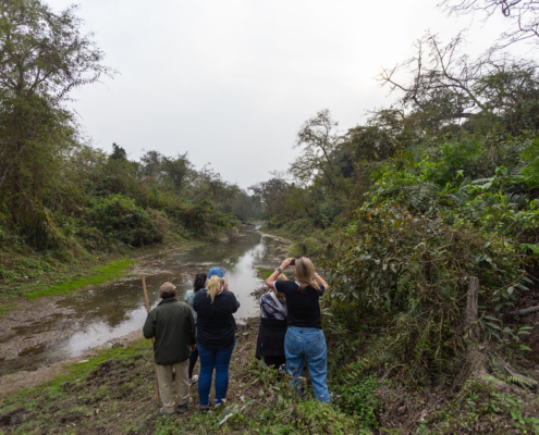 Guided Walk Guided Walk