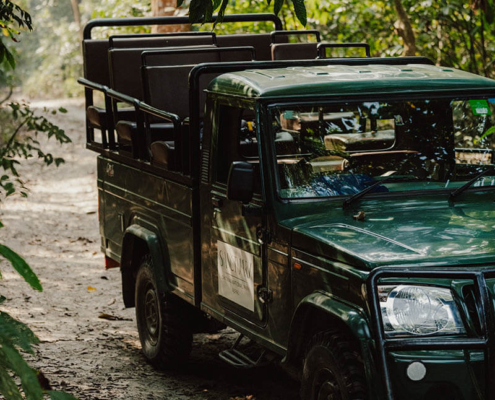 Jungle Package Sanctuary